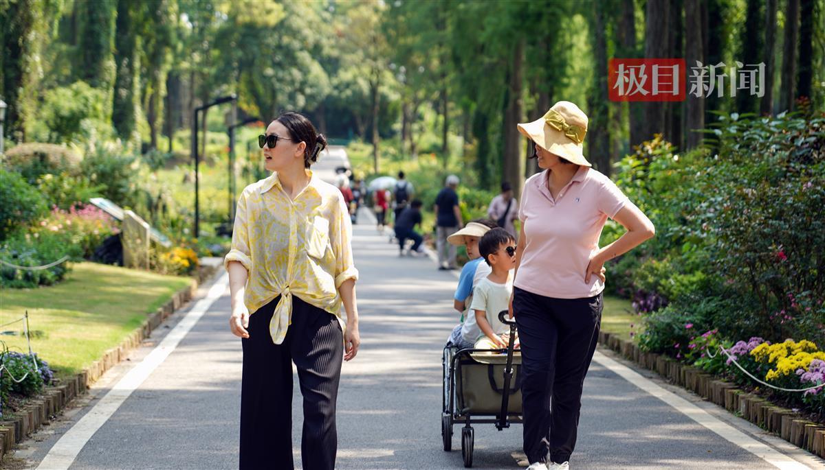 天天斗地主免费斗地主单机版